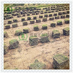 临沂39中好吗（临沂七中是重点高中吗）