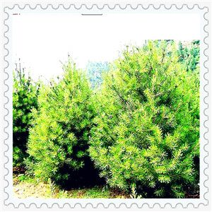 宝马x3系列，买了宝马x3养不起