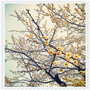 向新平（向新平都昌县）