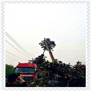 买房需要办贷款怎么办手续，买房银行办贷款需要什么手续费