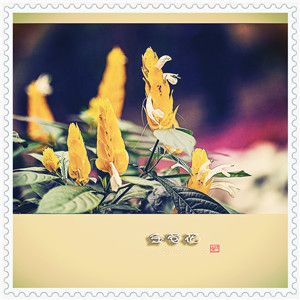 工艺品店（工艺品名字大全寓意）